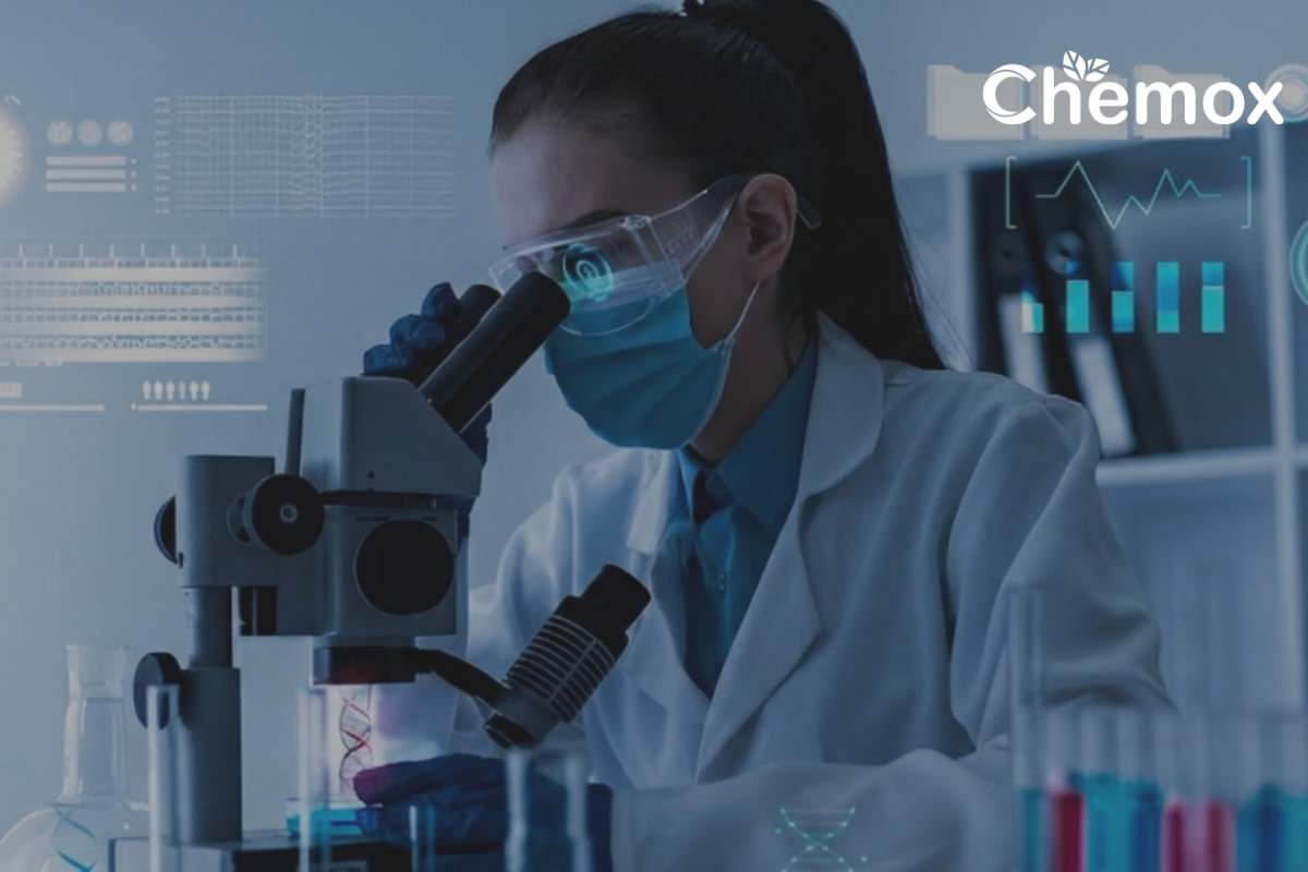 API Manufacturing Process