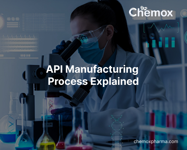 API Manufacturing Process Explained