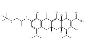 TIGECYCLINE