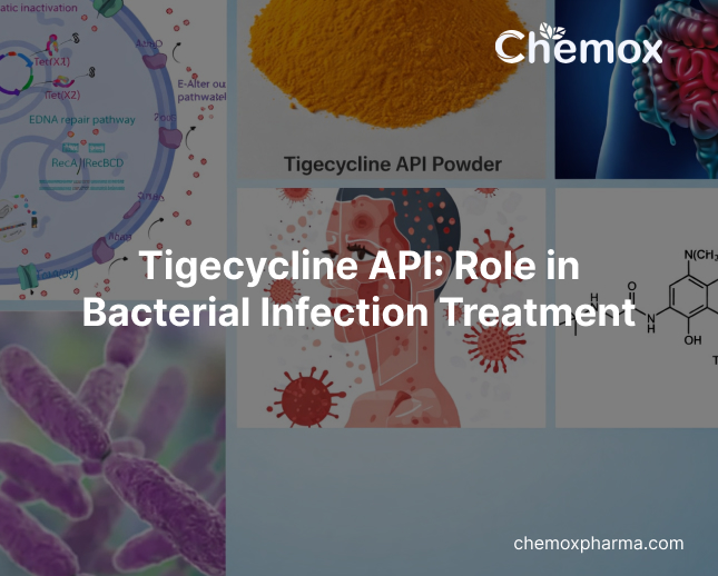Tigecycline API_ Role in Bacterial Infection Treatment