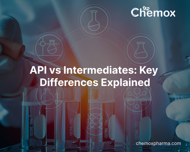 API vs Intermediates_ Key Differences Explained