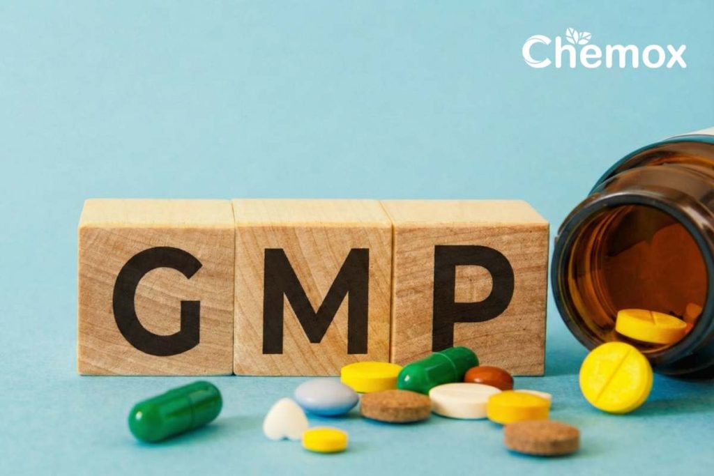 Understanding GMP in API Manufacturing