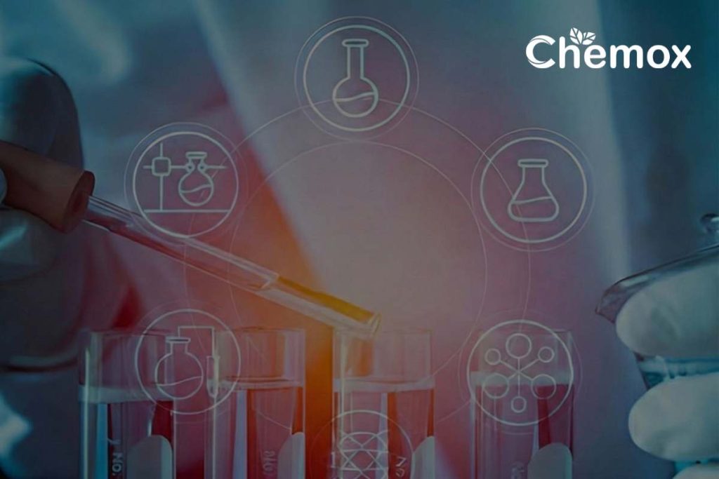 API Drug Development