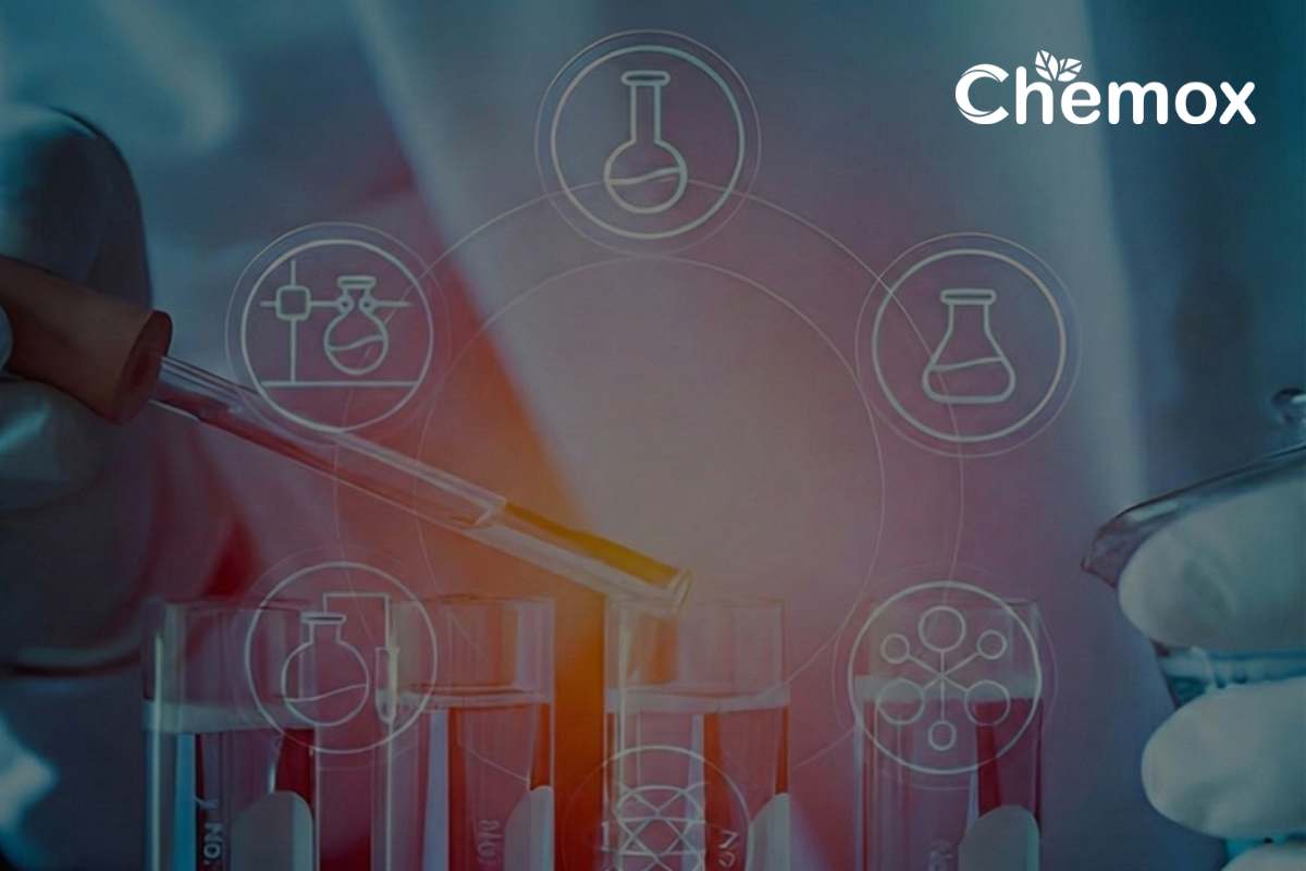 API Drug Development