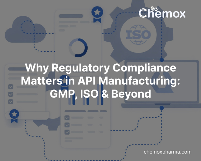Why Regulatory Compliance Matters in API Manufacturing_ GMP, ISO & Beyond