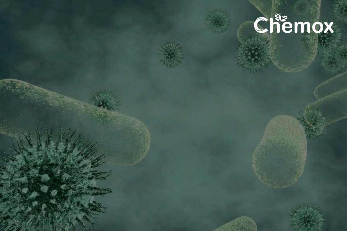 Azithromycin Benefits