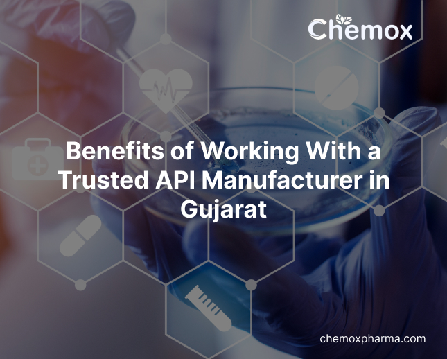 Benefits of Working With a Trusted API Manufacturer in Gujarat