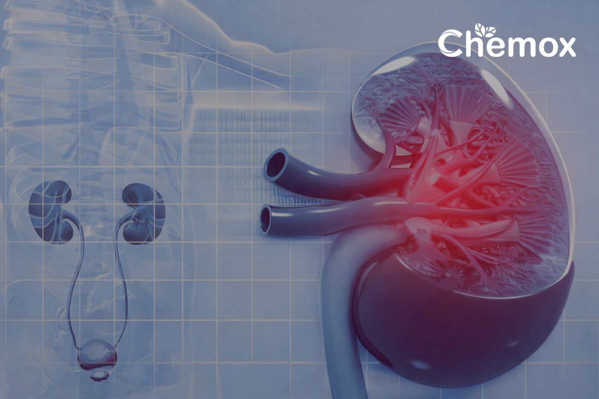 Mirabegron in Urology