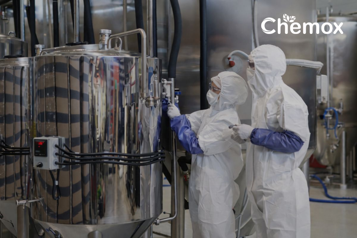 API Manufacturing in India