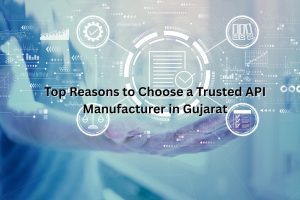 Top Reasons To Choose a Trusted Manufacturer In Gujarat