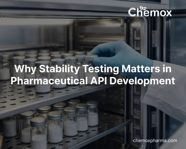 Why Stability Testing Matters in Pharmaceutical API Development (1)